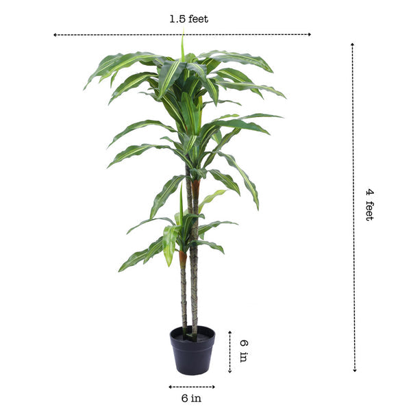 Artificial Dracaena Plant in Black Pot (4 Feet)