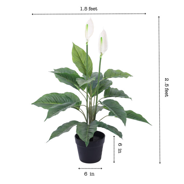 Artificial Peace Lily Plant in Black Pot (2.5 Feet)