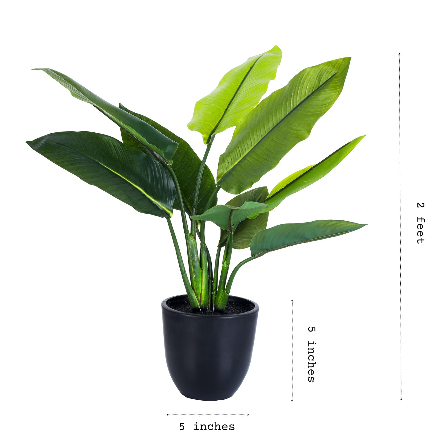 Artificial Potted Banana Plant (2 Feet)
