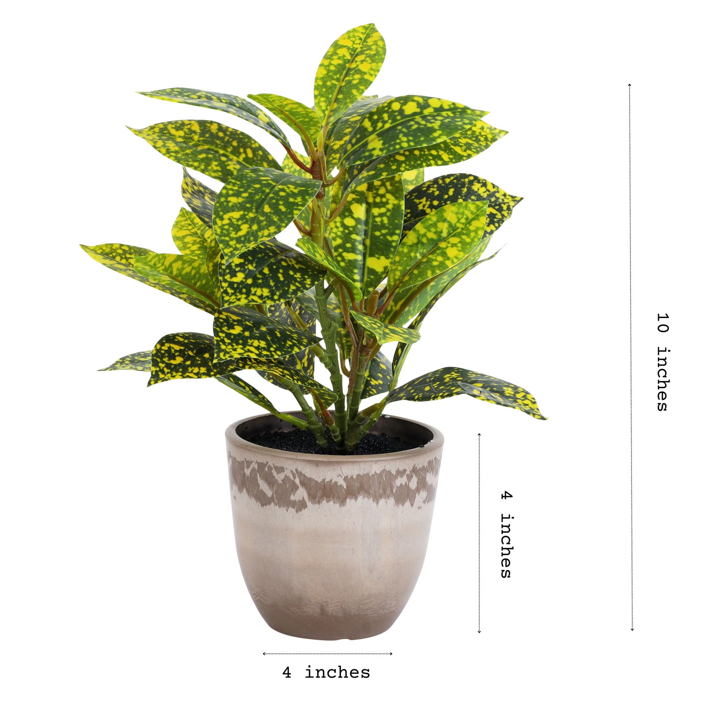 Artificial Potted Croton Plants (Green, 1 Feet, Set of 2)