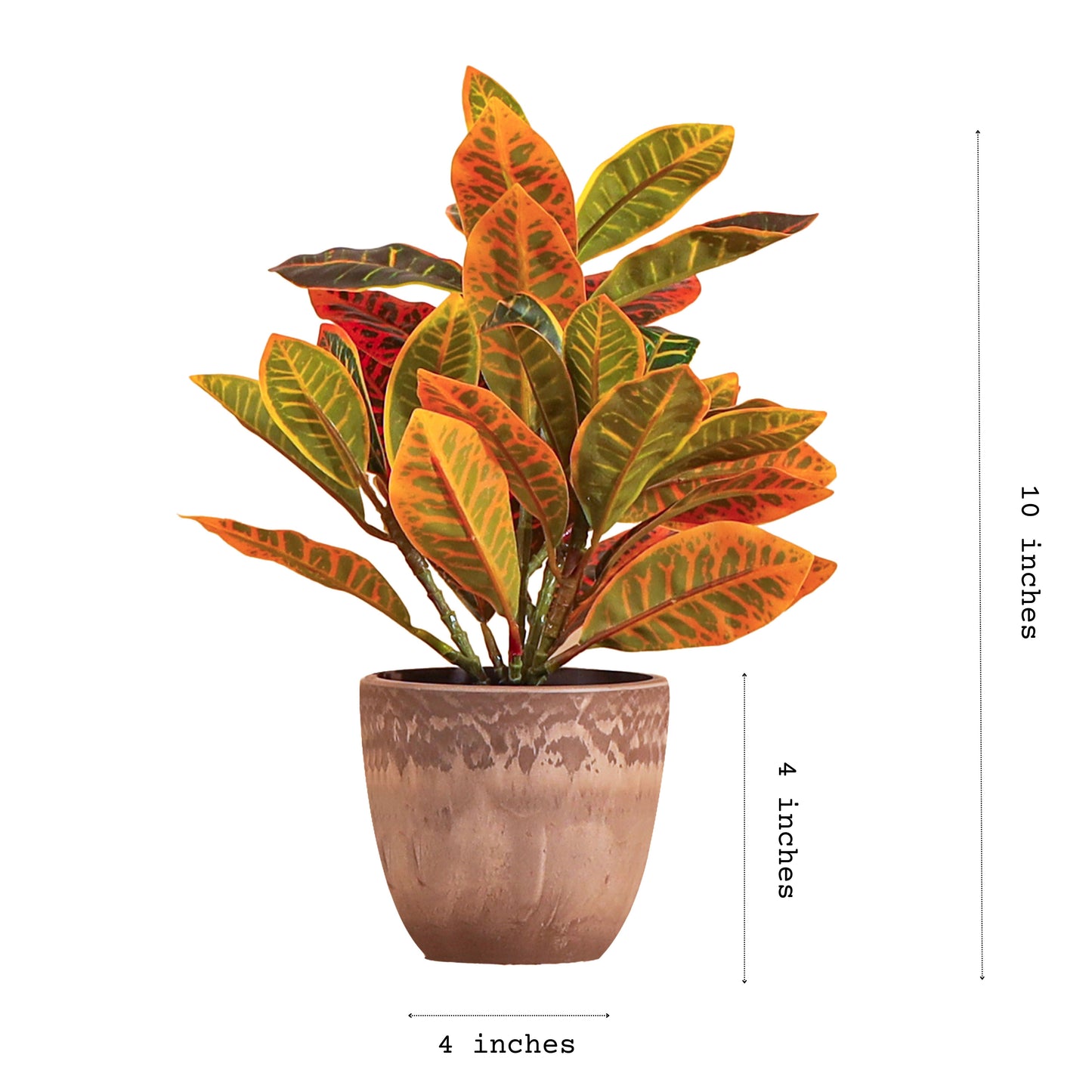 Artificial Potted Croton Plants (Multicolored, 1 Feet Set of 2)