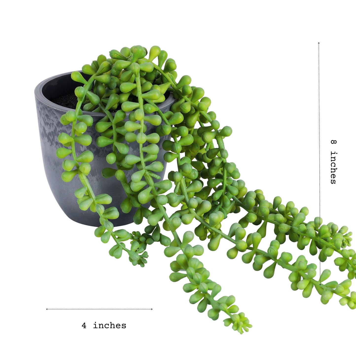 Artificial Hanging Succulent Vine (0.5 Feet)