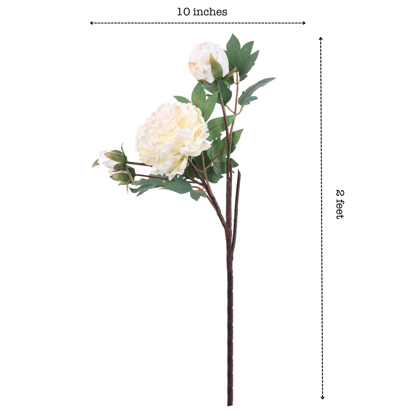 Artificial Peony Flower Spray (2 Feet, White)