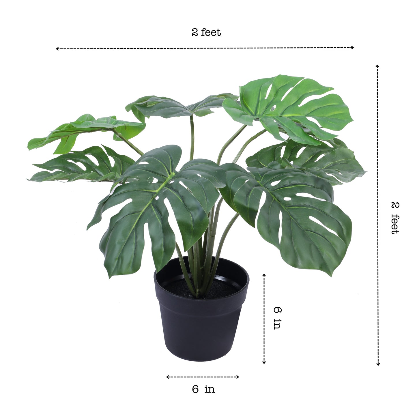 Artificial Monstera Plant in Black Pot (2 Feet)