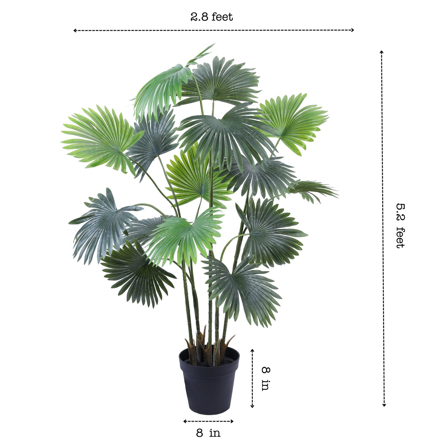 Artificial Fan Palm in Black Pot (5.2 Feet)