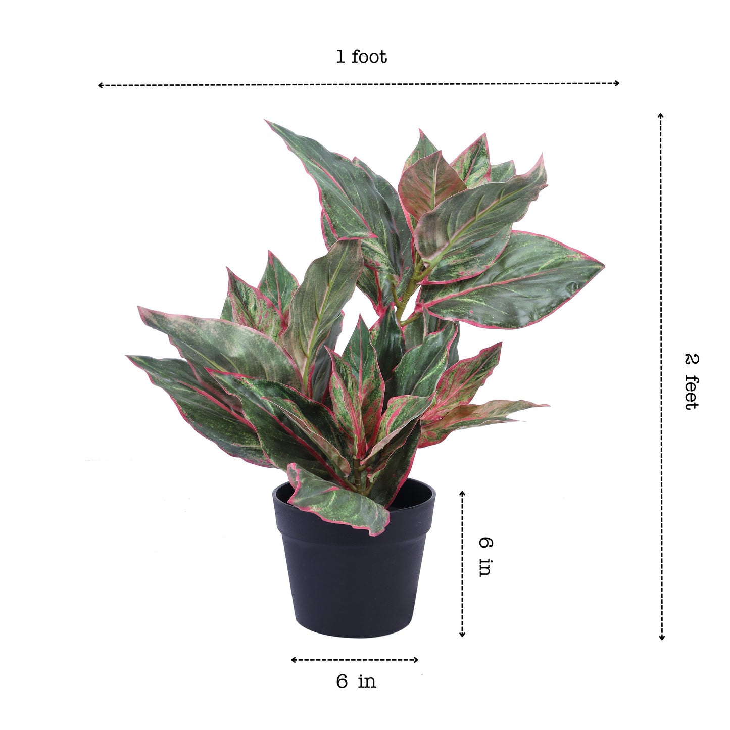Artificial Green Dieffenbachia Potted Plant (2 Feet)