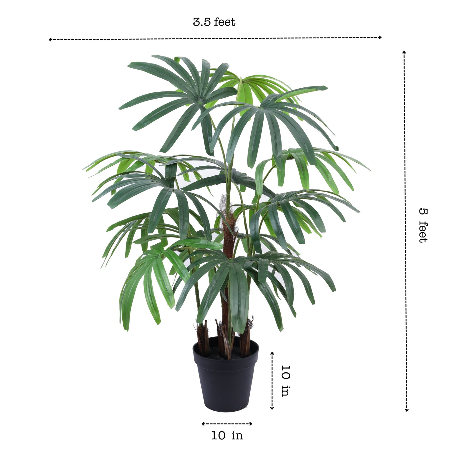 Artificial Rhapis Palm Tree in Black Pot (5 Feet)