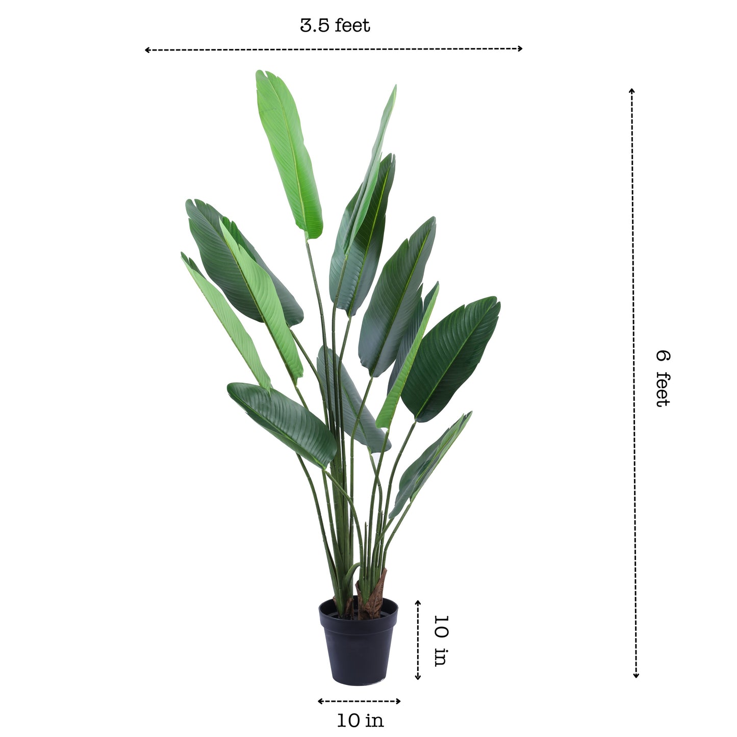 Artificial Banana Plant in Black Pot (6 Feet)