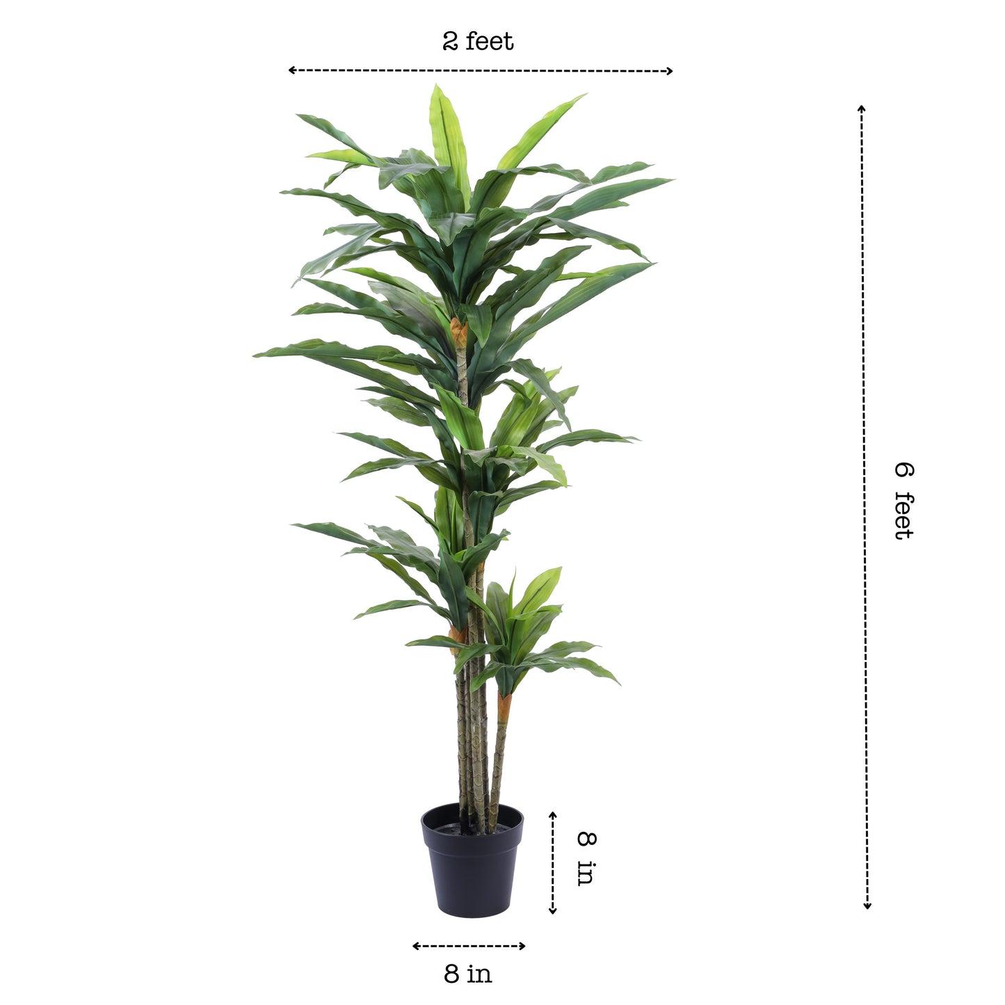 Artificial Dracaena Plant in Black Pot (6 Feet)