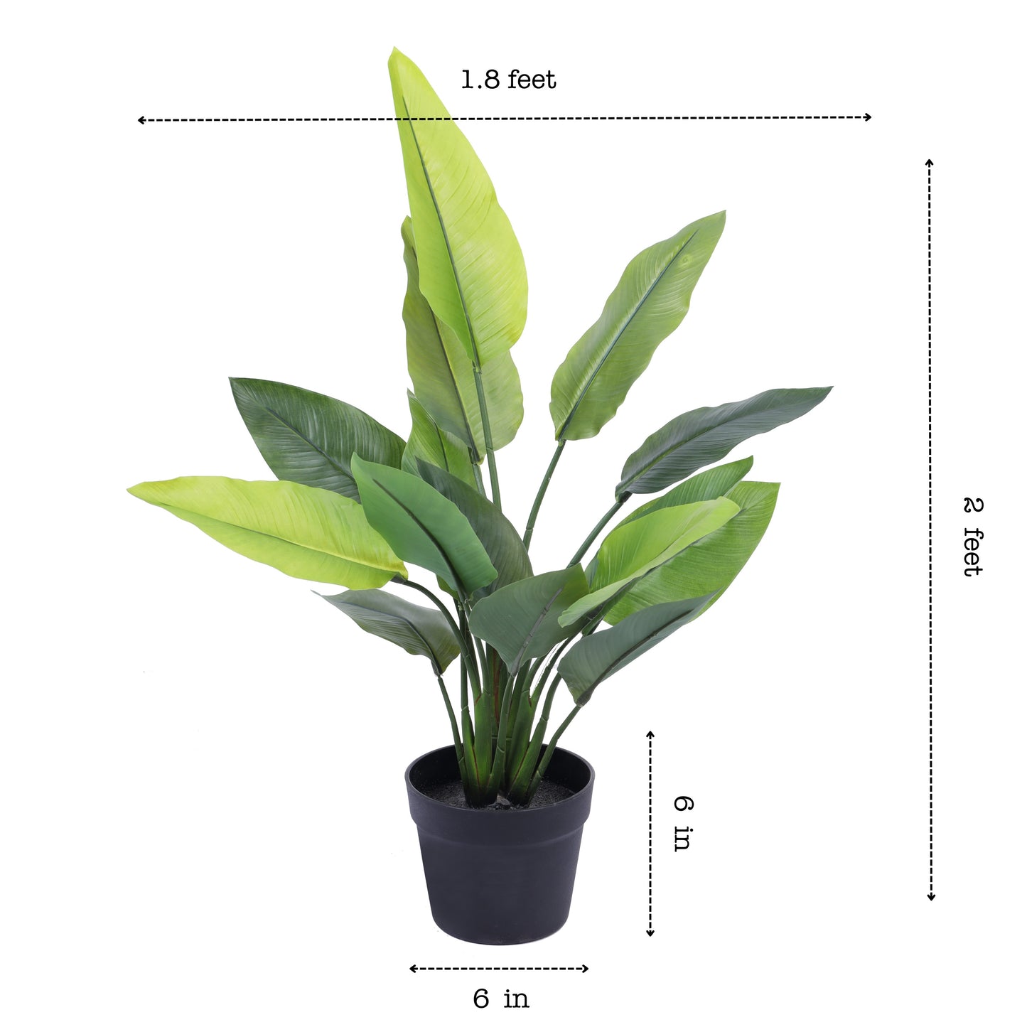 Artificial Banana Potted Plant (2 Feet)