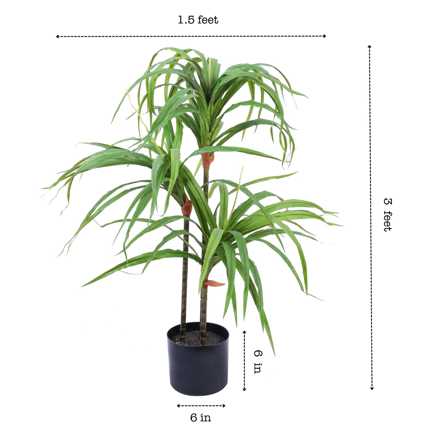 Artificial Dracaena Plant in Black Pot (3 Feet)