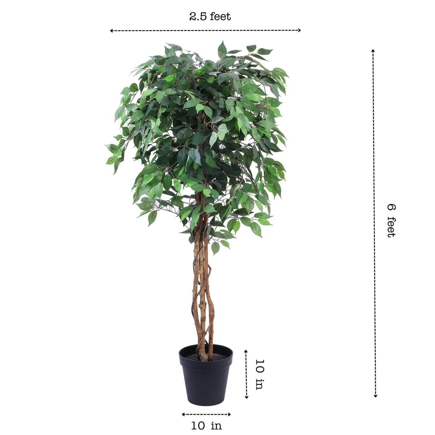 Artificial Ficus Plant in Black Pot (6 Feet)