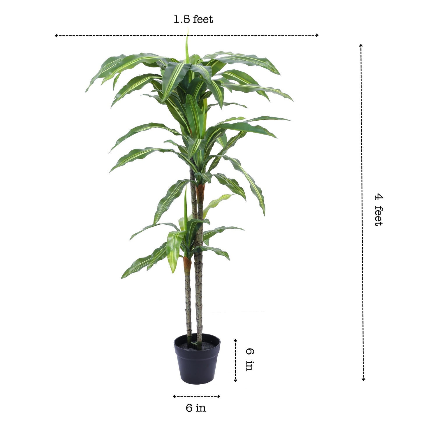 Artificial Dracaena Plant in Black Pot (4 Feet)