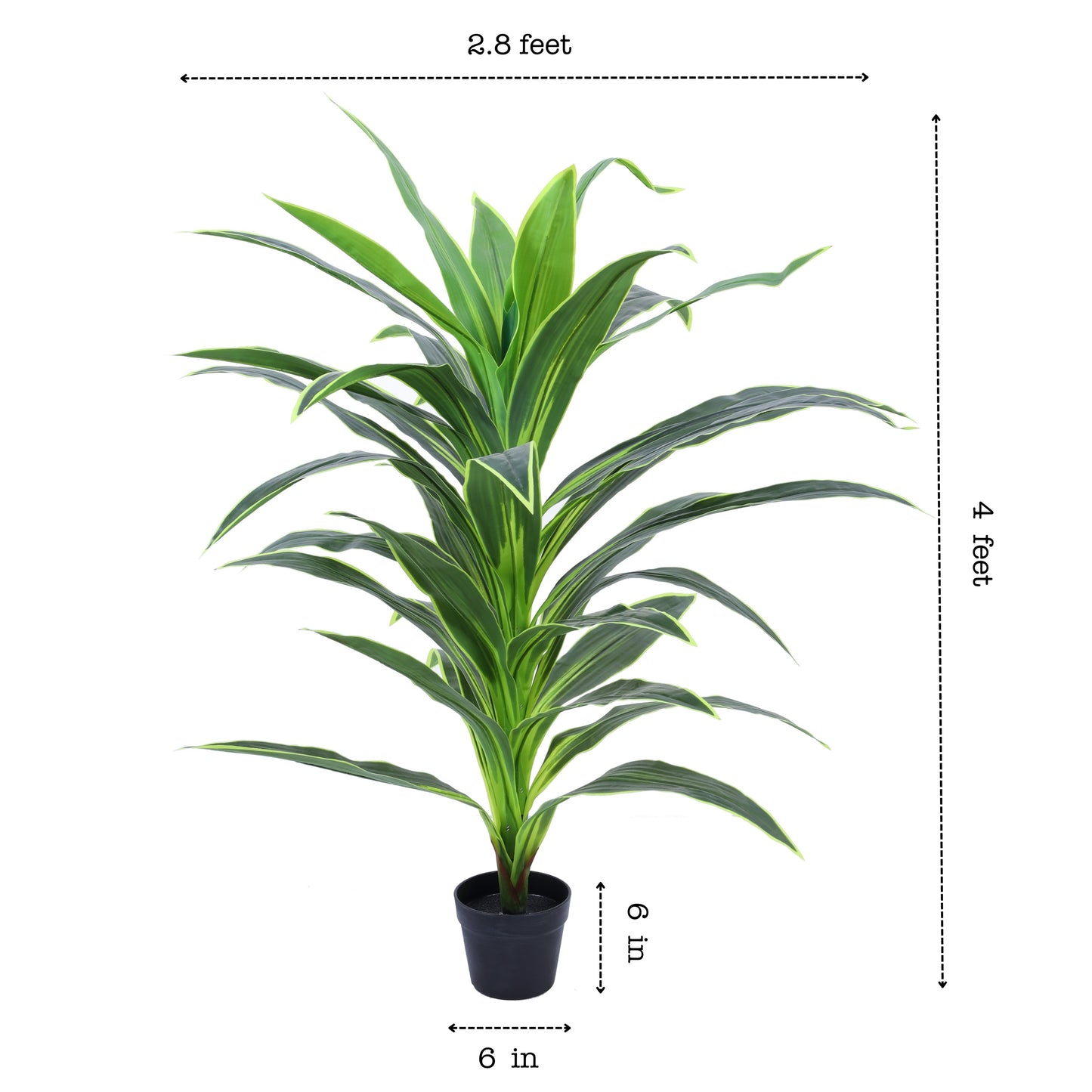 Artificial Dragon Plant in Black Pot (4 Feet)