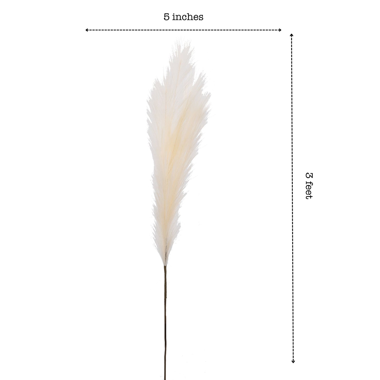 Artificial Pampas Sticks (3 Sticks, 3 Feet, Beige)