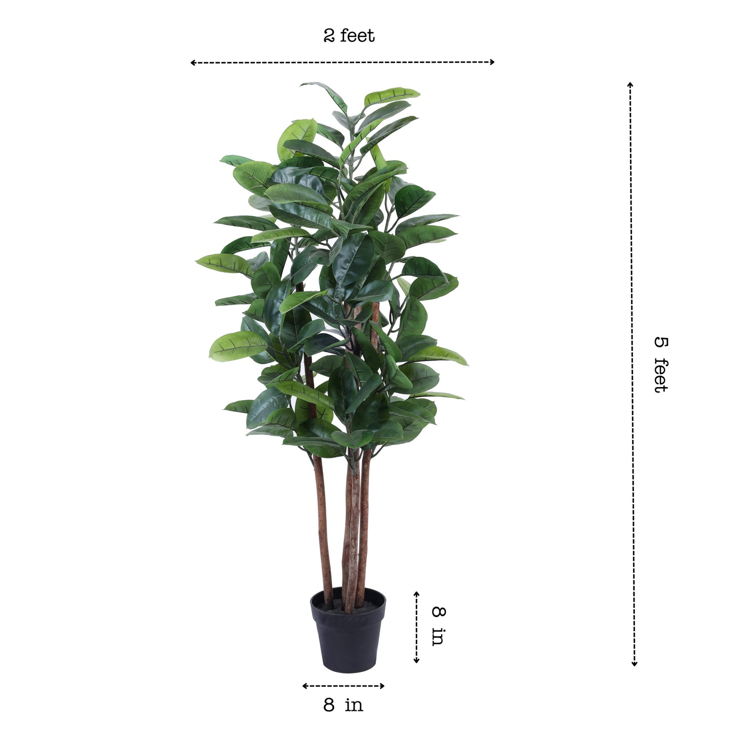 Artificial Rubber Tree in Black Pot (5 Feet)