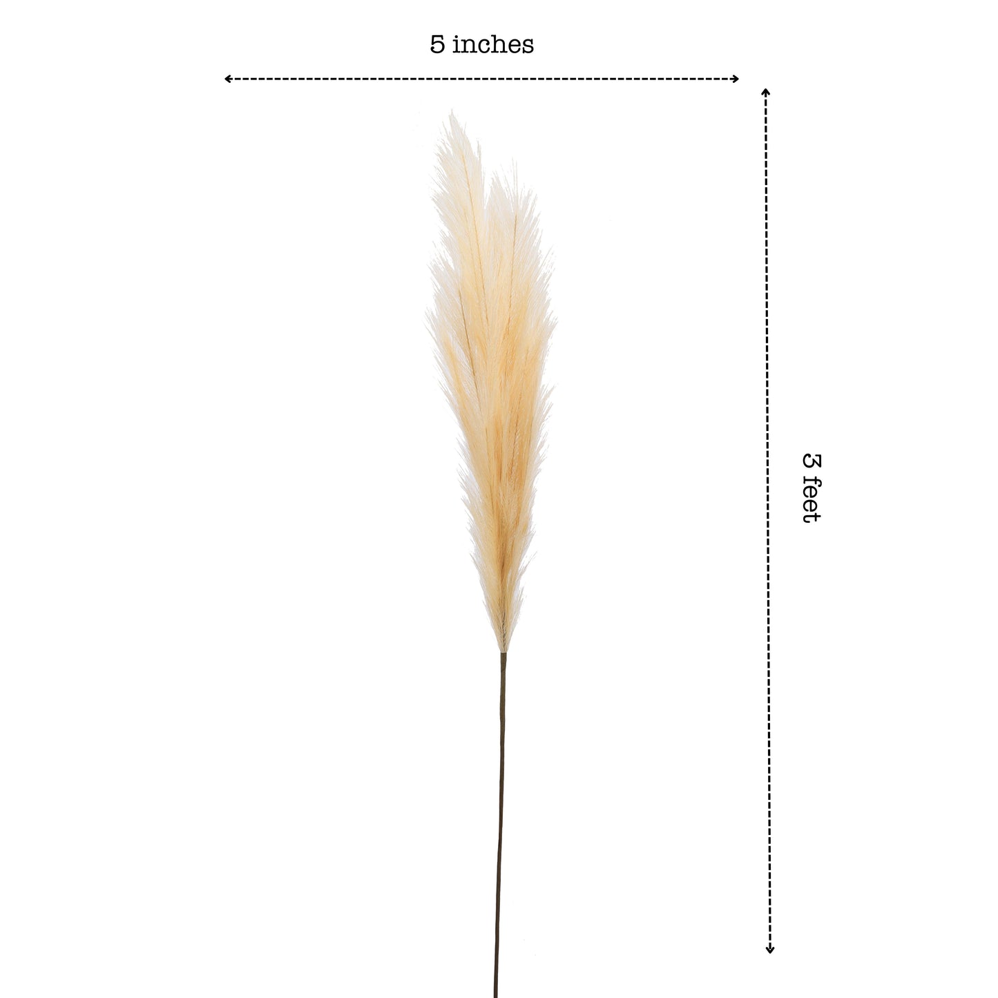 Artificial Pampas Sticks (3 Sticks, 3 Feet, Brown)