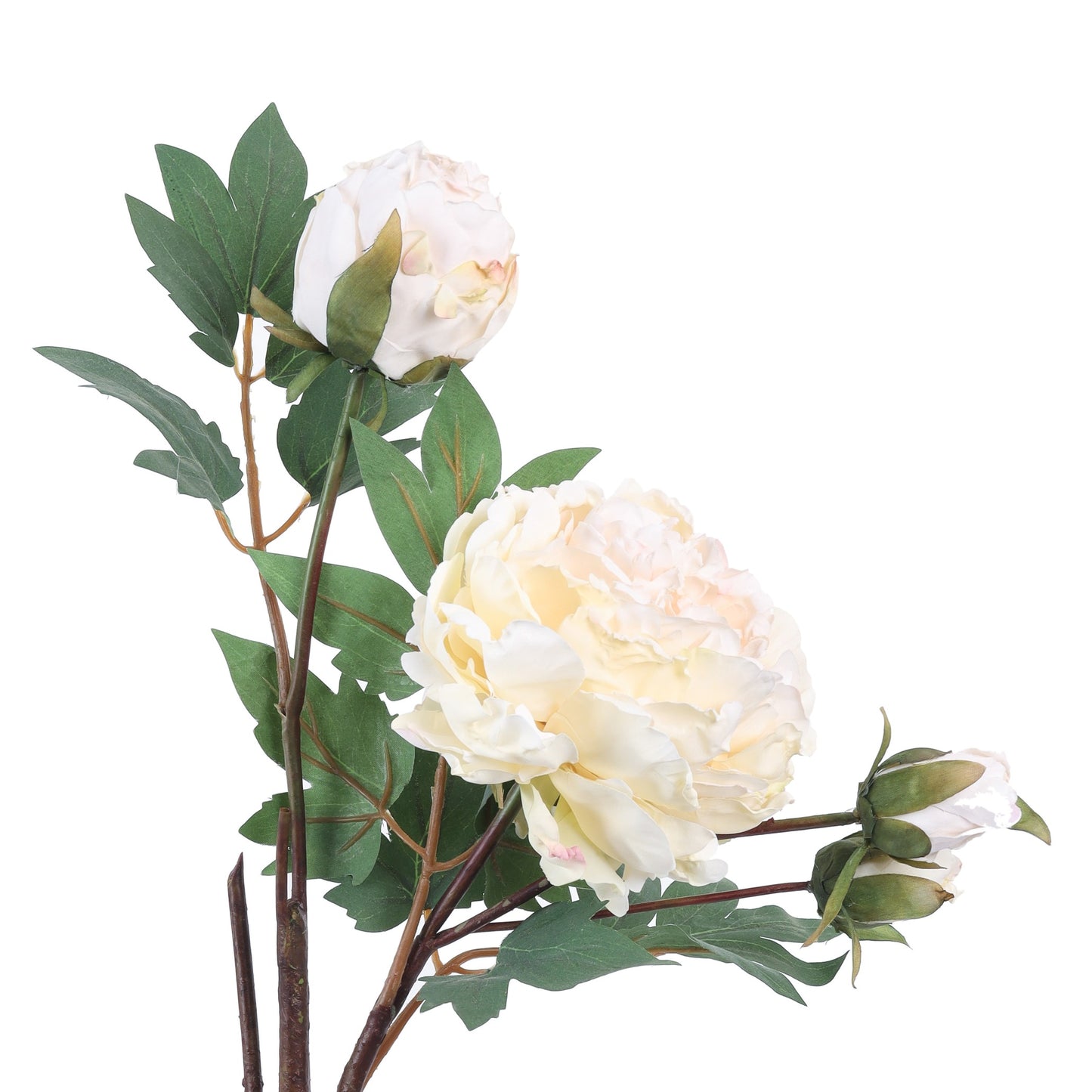 Artificial Peony Flower Spray (2 Feet, White)