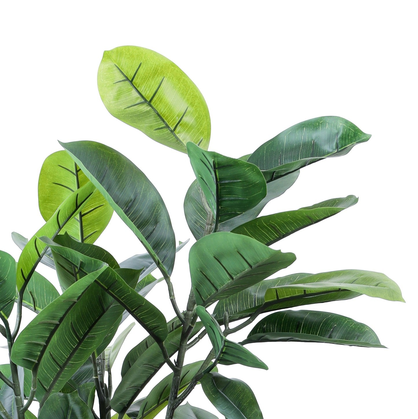 Artificial Rubber Tree in Black Pot (4 Feet)