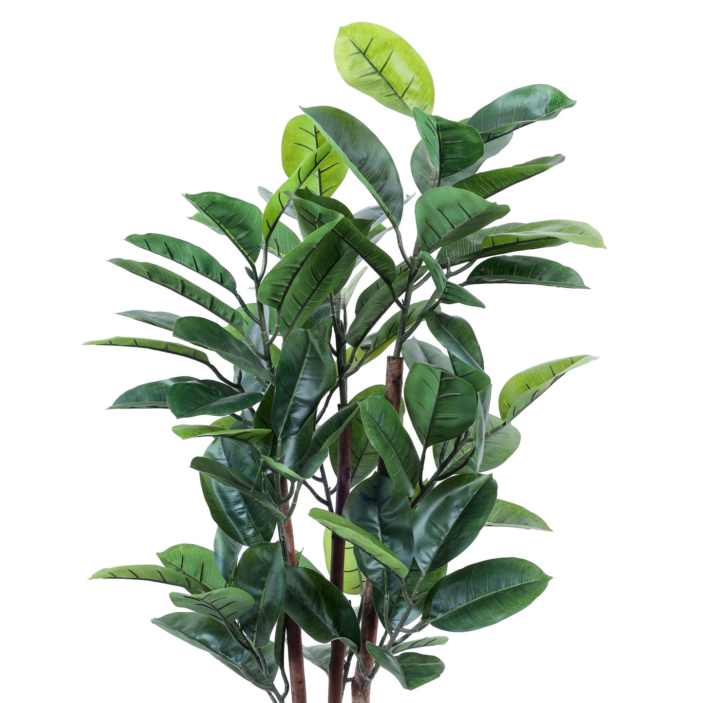 Artificial Rubber Tree in Black Pot (4 Feet)