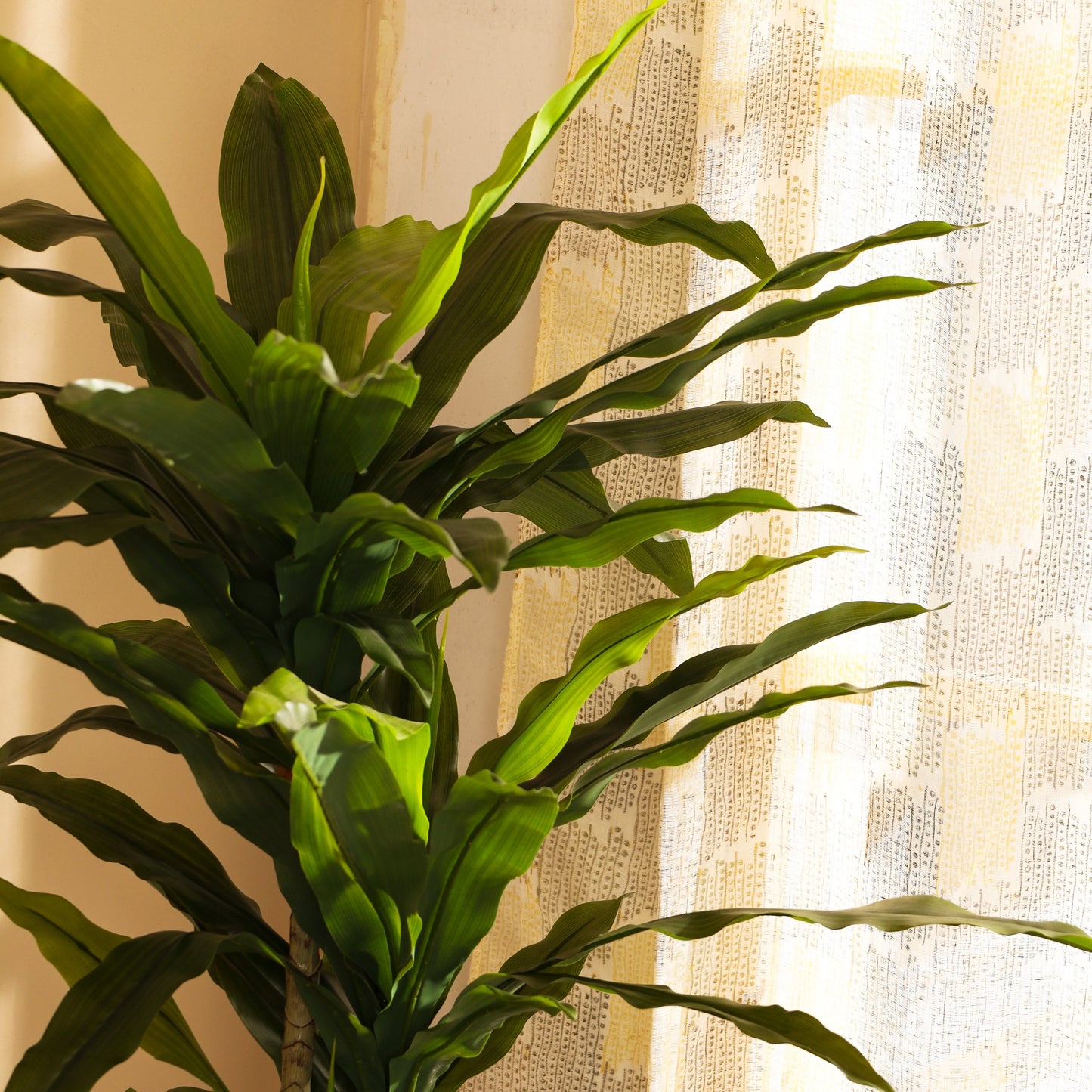 Artificial Dracaena Plant in Black Pot (6 Feet)