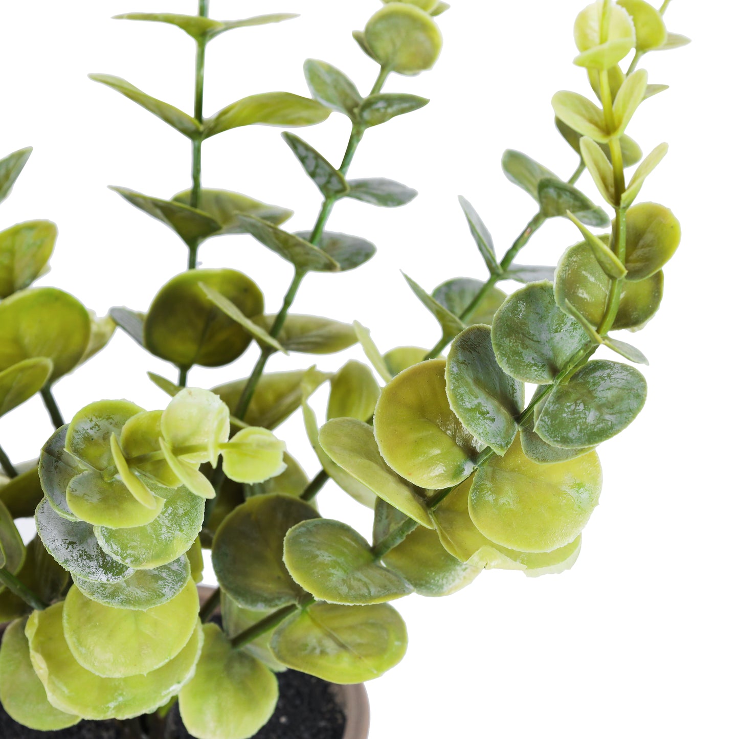 Artificial Potted Eucalyptus Plant (1 Foot, Set of 2)