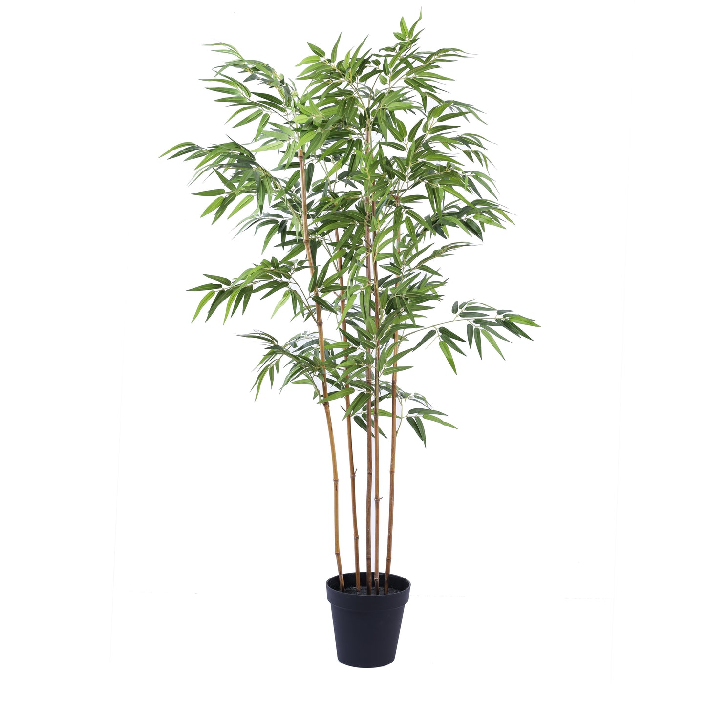 Artificial Bamboo Plant in Black Pot (6 Feet)