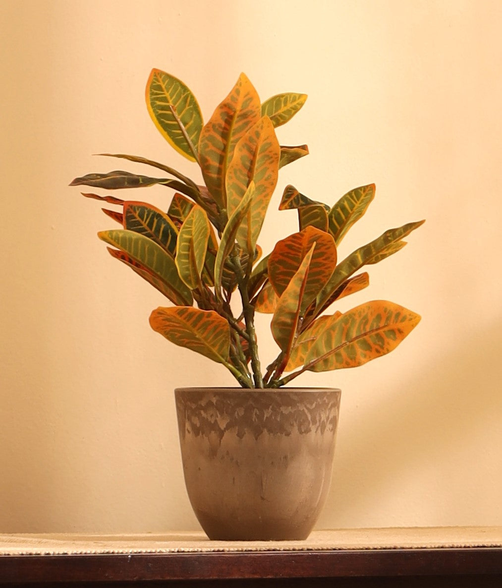 Artificial Potted Croton Plants (Multicolored, 1 Feet Set of 2)