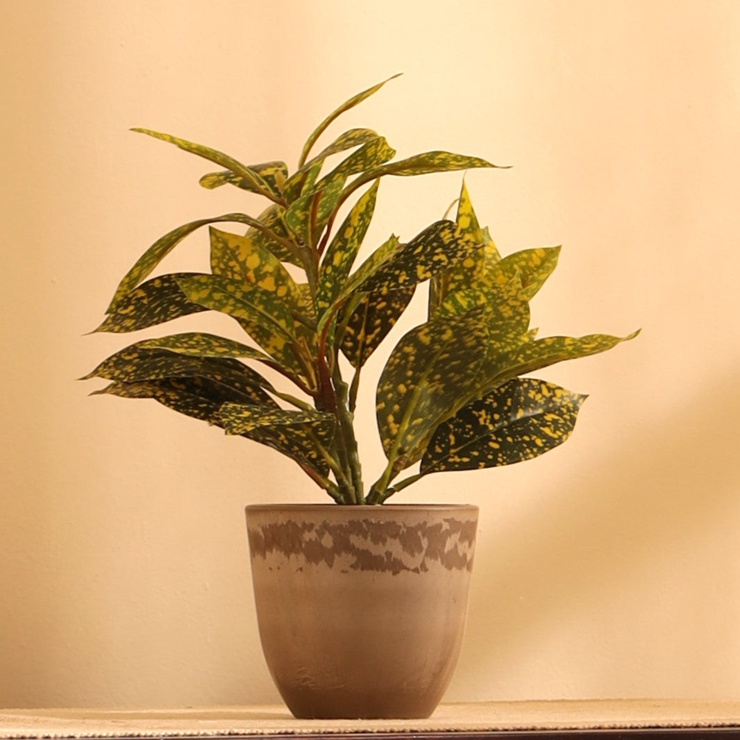 Artificial Potted Croton Plants (Green, 1 Feet, Set of 2)