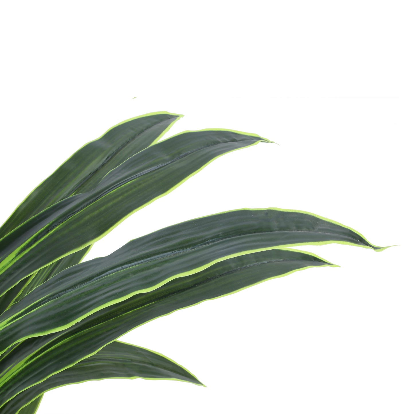 Artificial Dragon Plant in Black Pot (4 Feet)