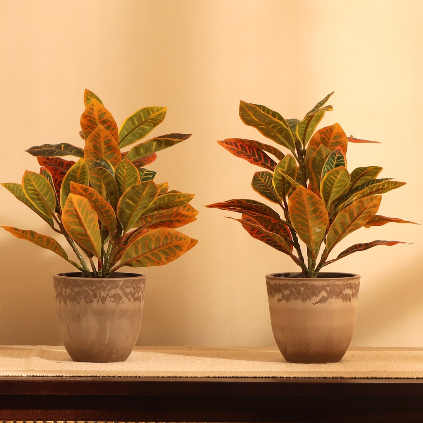 Artificial Potted Croton Plants (Multicolored, 1 Feet Set of 2)