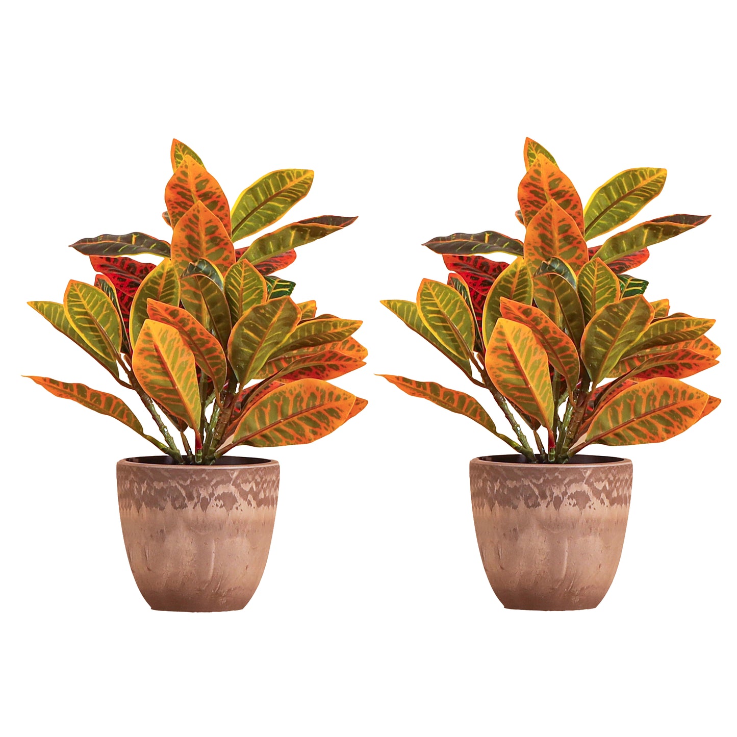 Artificial Potted Croton Plants (Multicolored, 1 Feet Set of 2)