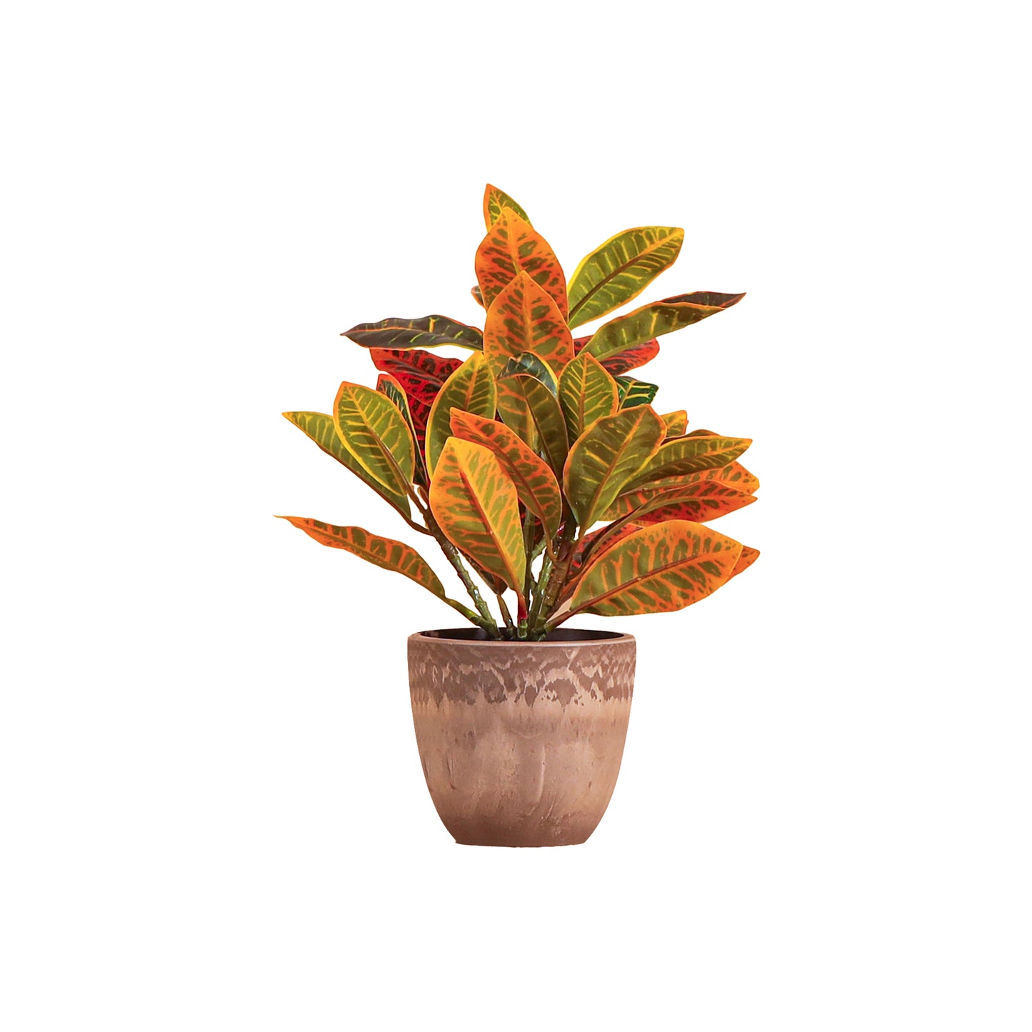 Artificial Potted Croton Plants (Multicolored, 1 Feet Set of 2)