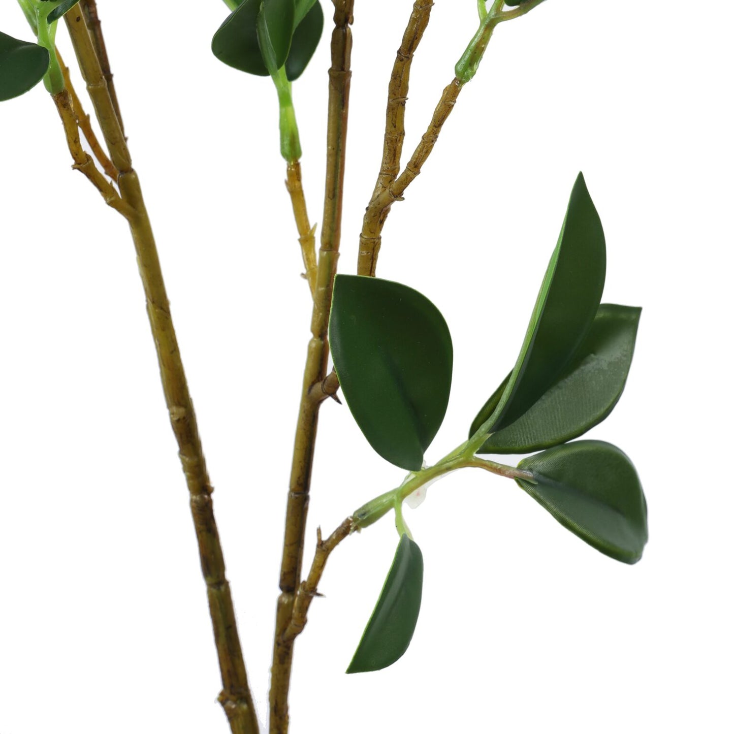 Artificial Green Eucalyptus Sticks (3 sticks, 2 Feet)