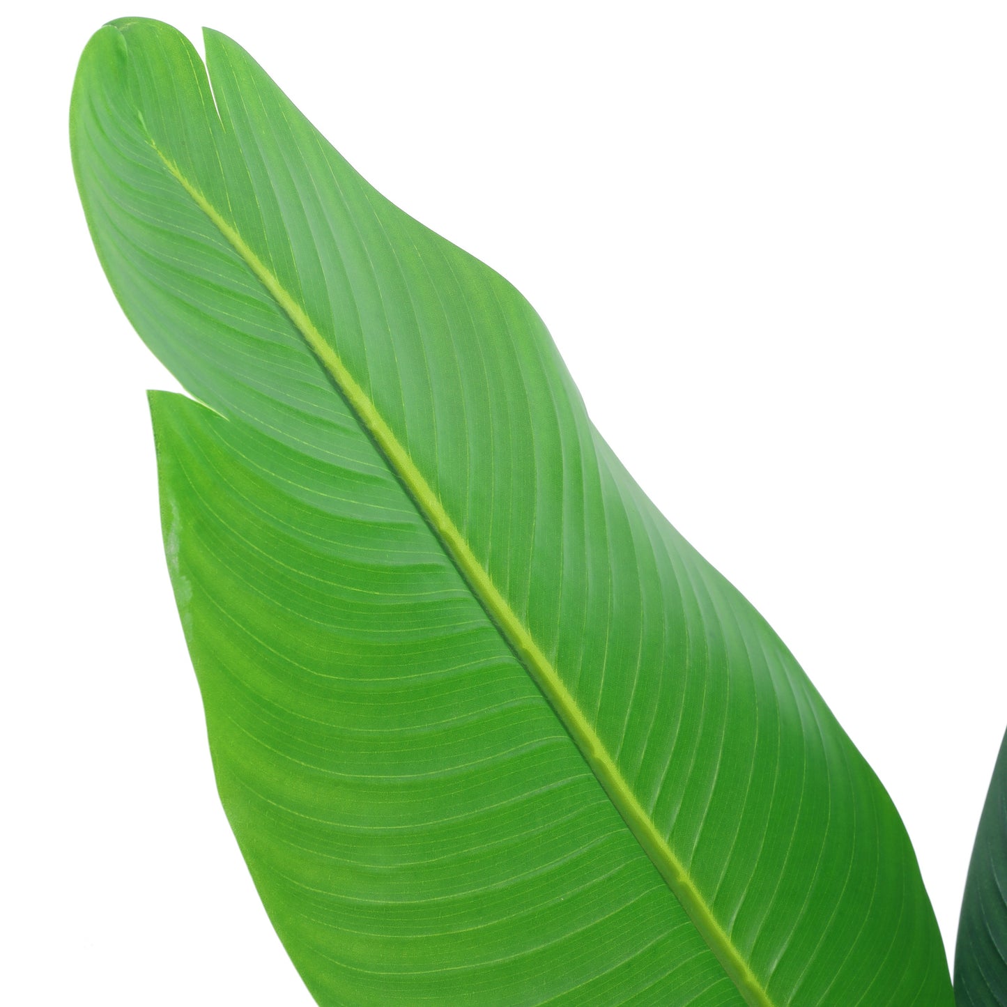 Artifiical Banana Tree in Black Pot (4 Feet)
