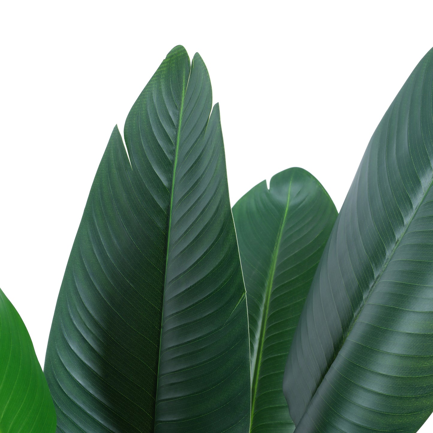 Artificial Banana Plant in Black Pot (4 Feet)