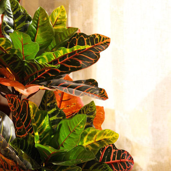Artificial Croton Plant in Black Pot (3 Feet)