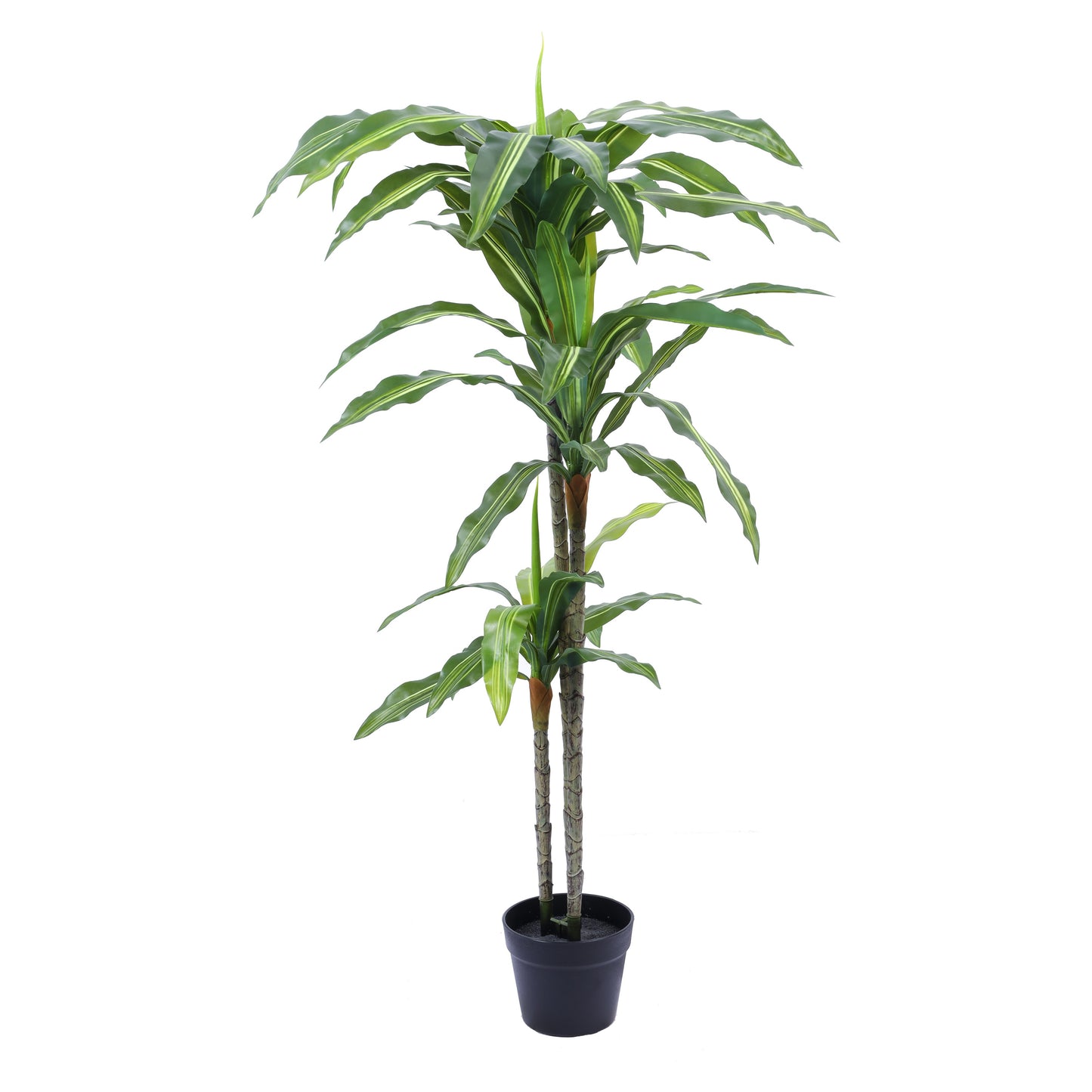 Artificial Dracaena Plant in Black Pot (4 Feet)