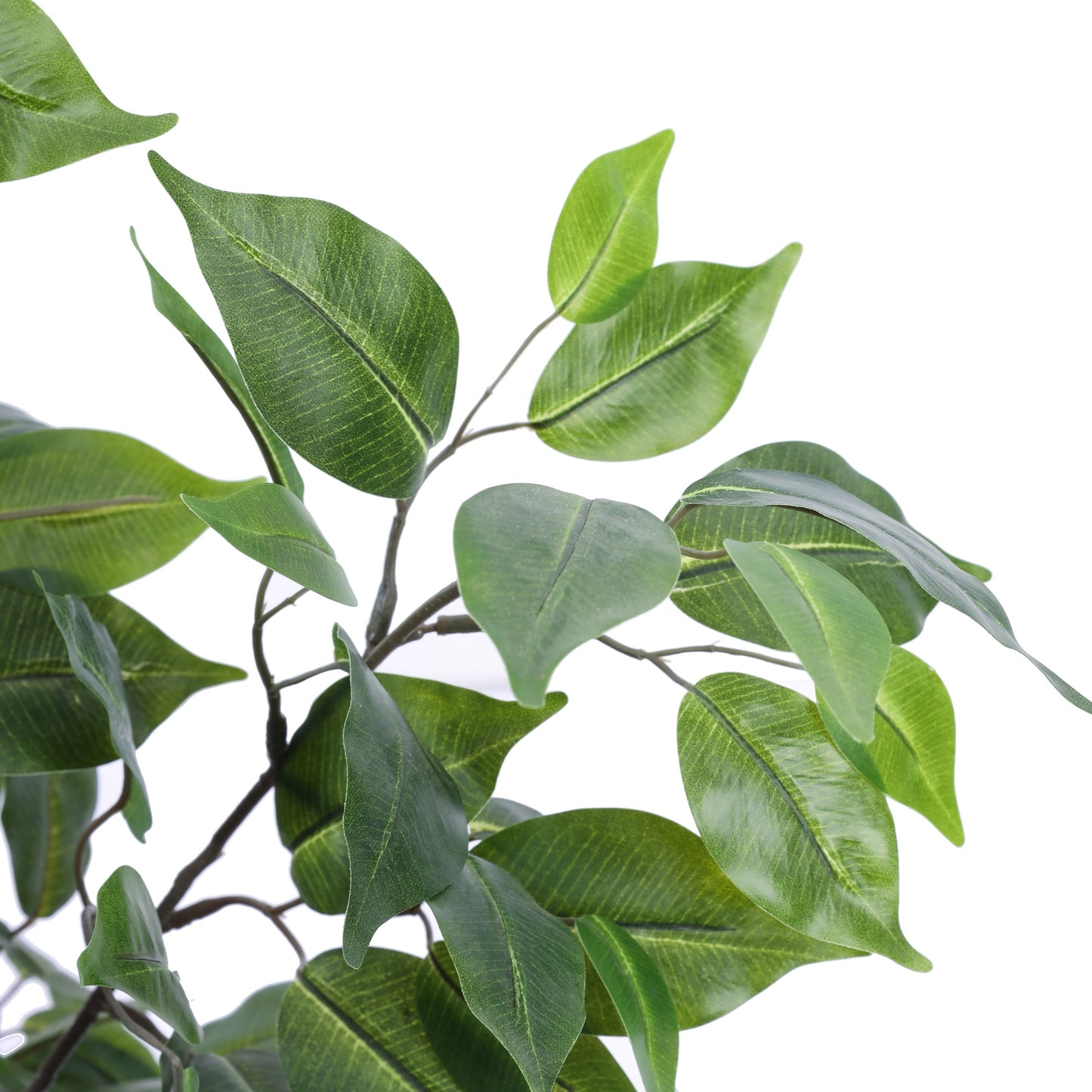 Artificial Ficus Plant in Black Pot (3 Feet)