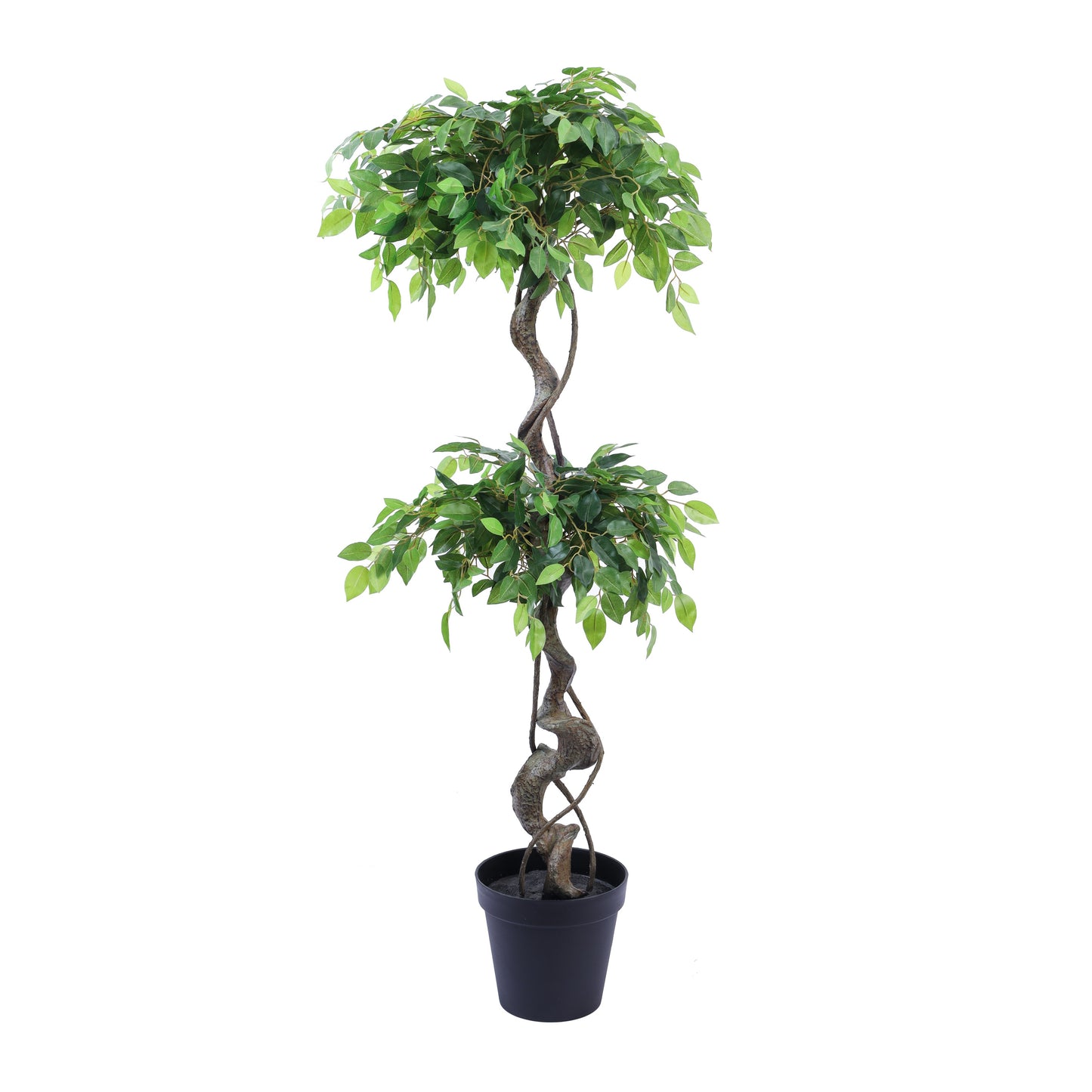 Artificial Ficus Bonsai in Black Pot (5 Feet)