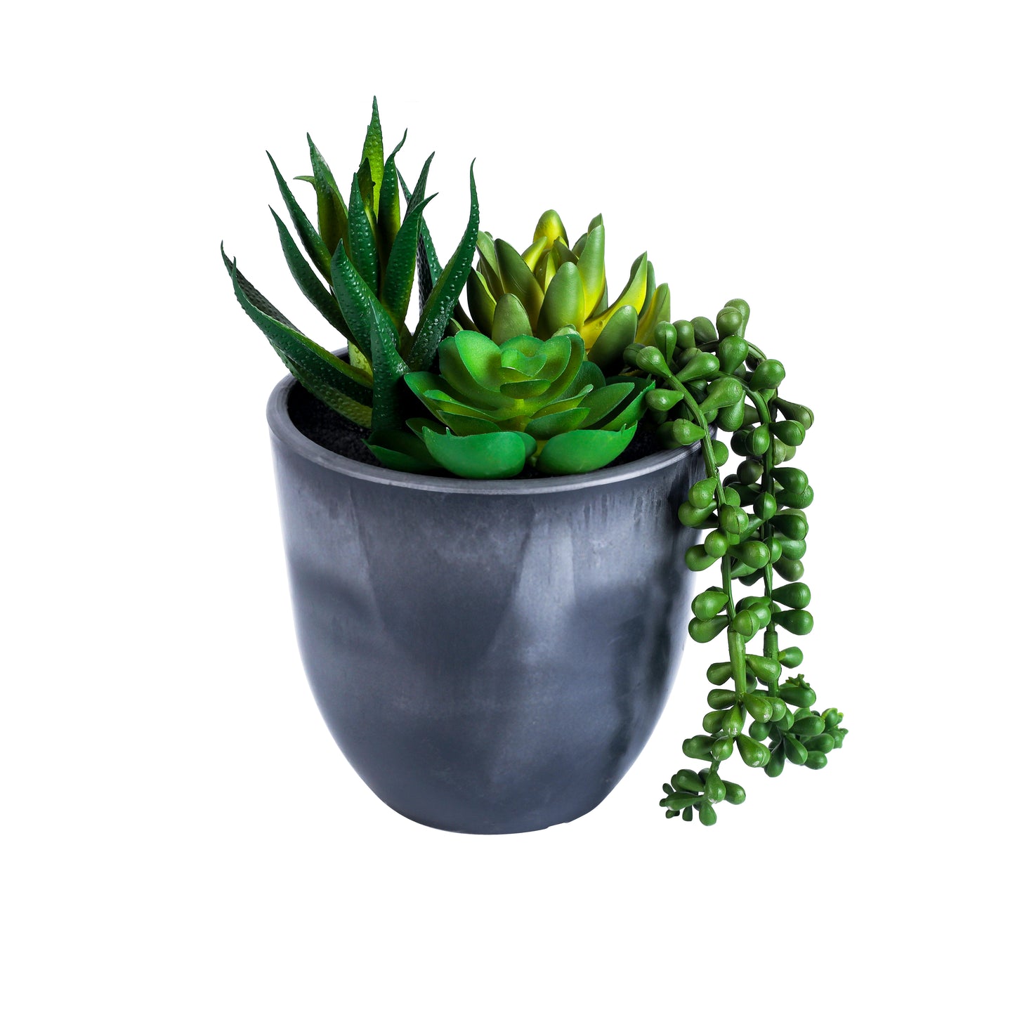 Artificial Potted Succulent (20 cm)