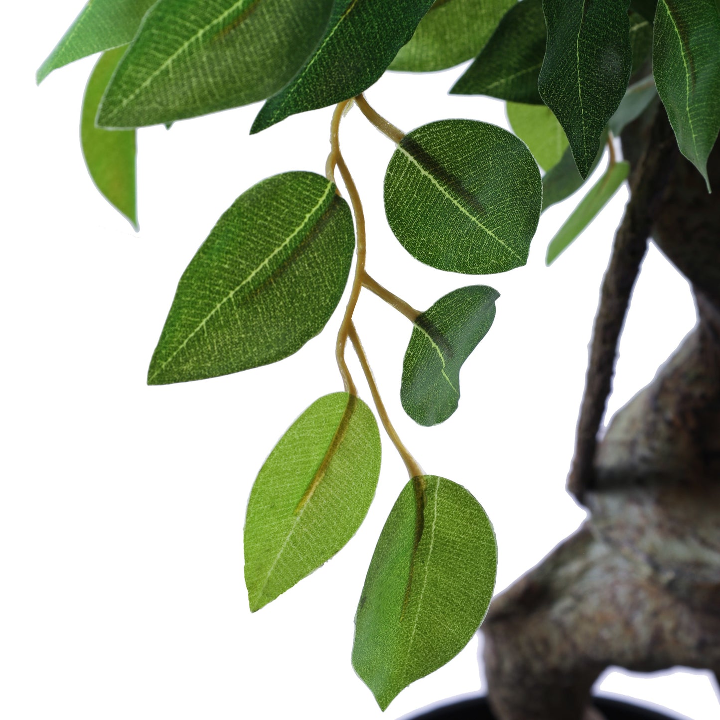 Artificial Ficus Bonsai in Black Pot (5 Feet)