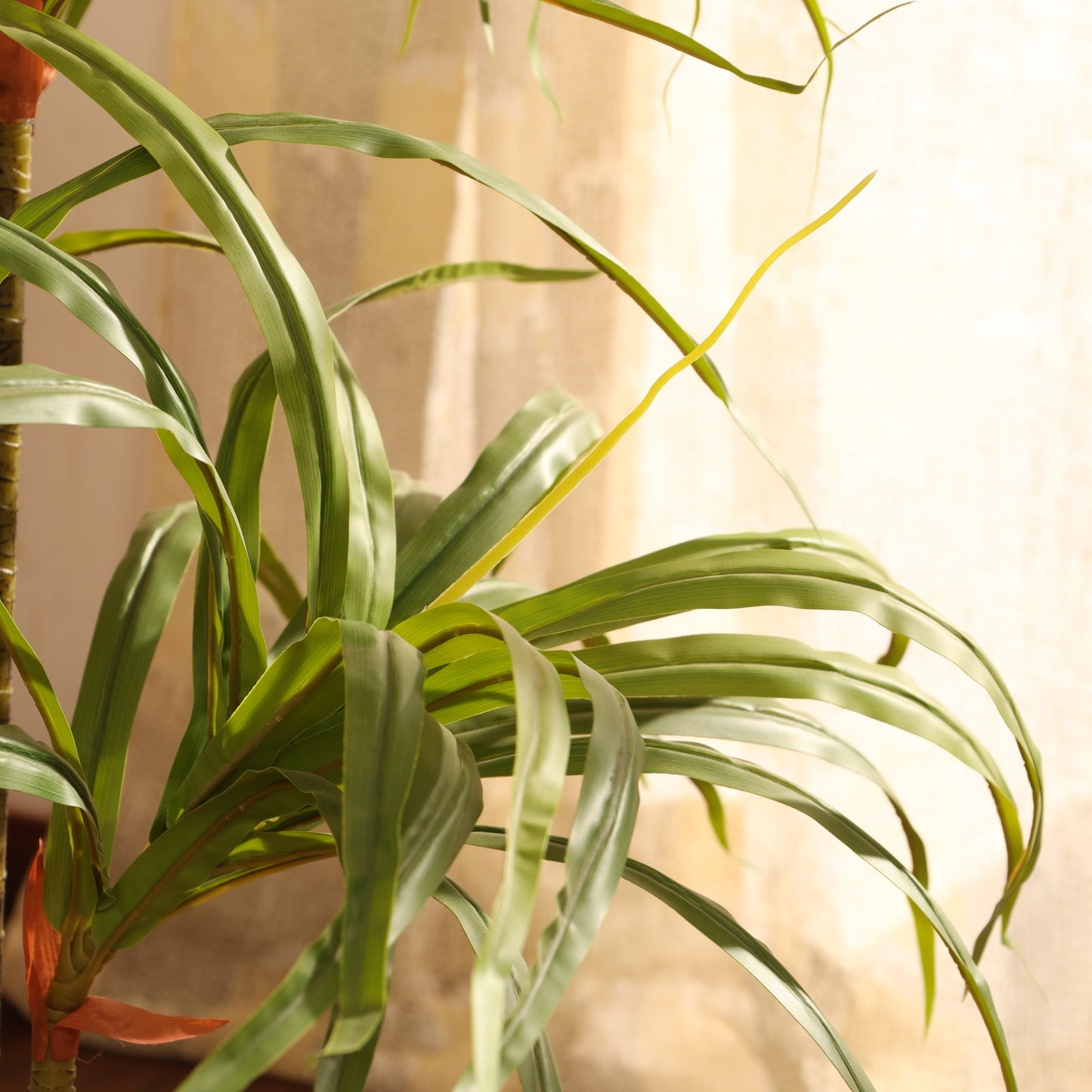 Artificial Dracaena Plant in Black Pot (3 Feet)