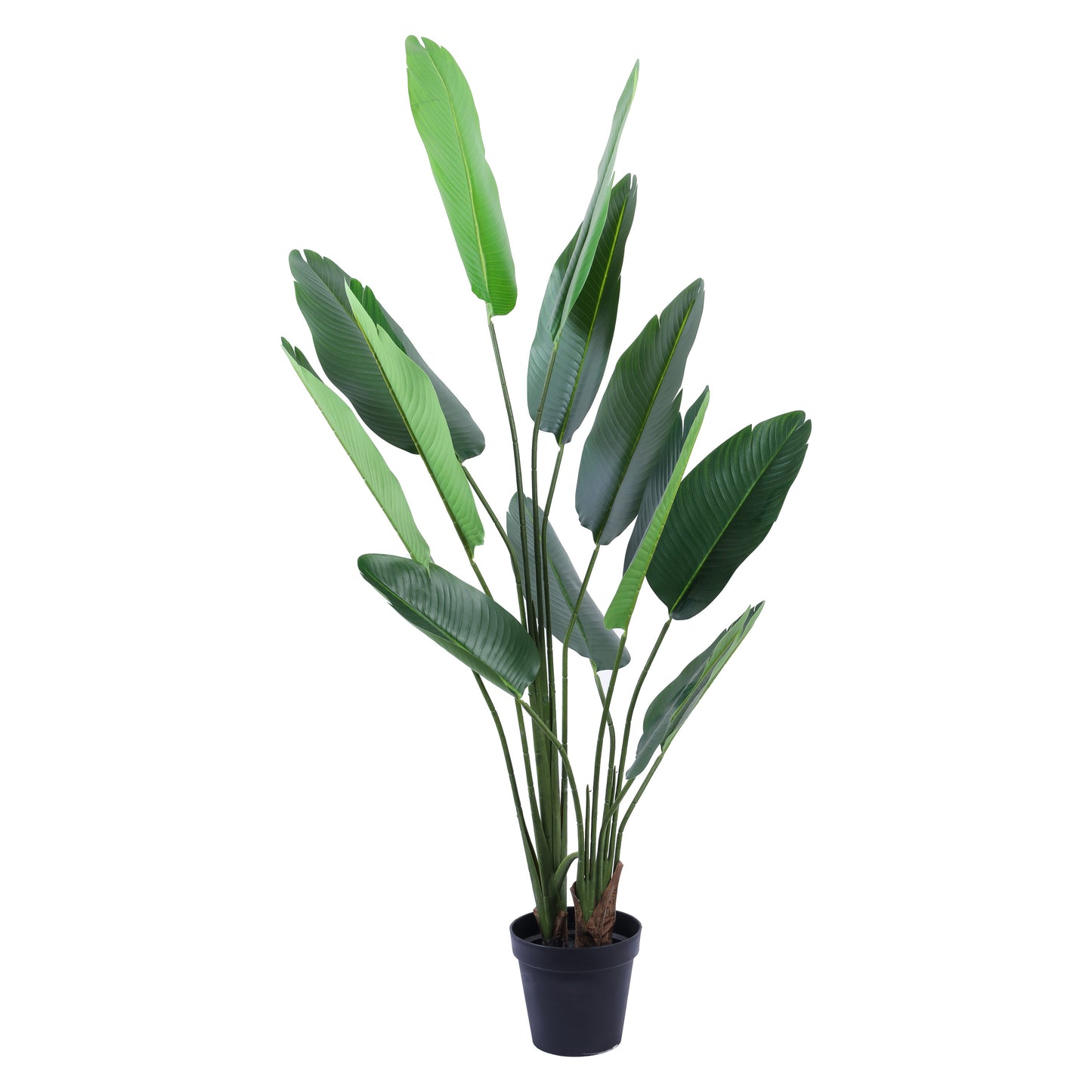 Artificial Banana Plant in Black Pot (6 Feet)