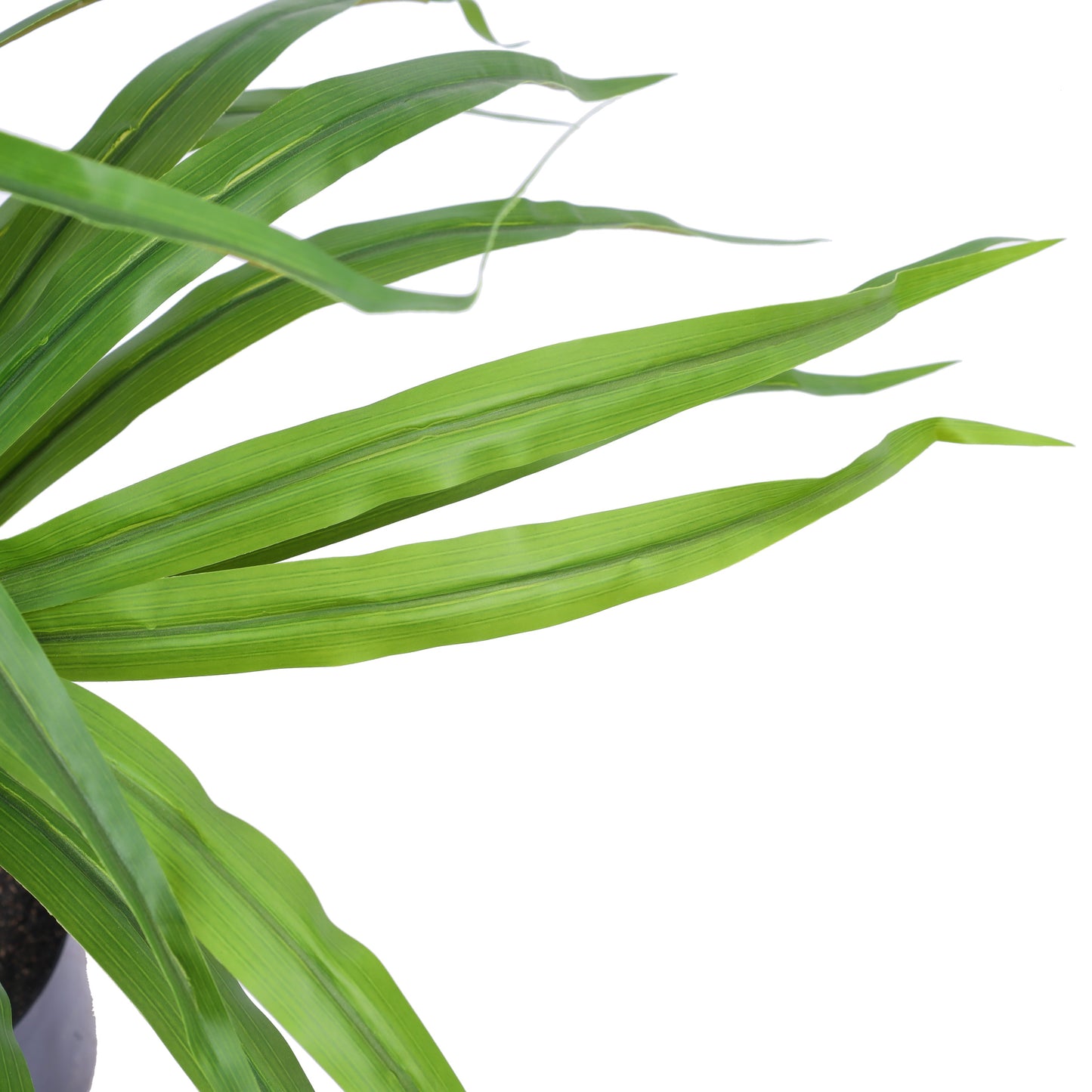 Artificial Dracaena Plant in Black Pot (3 Feet)