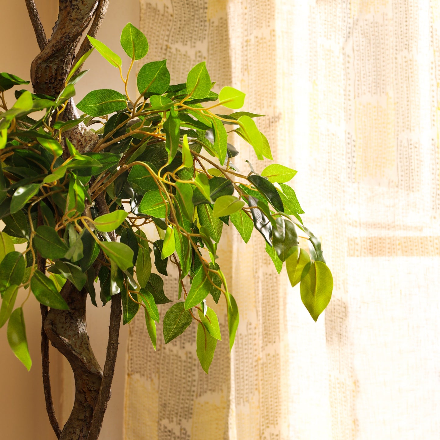 Artificial Ficus Bonsai in Black Pot (5 Feet)