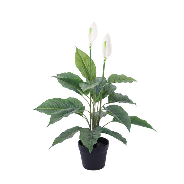 Artificial Peace Lily Plant in Black Pot (2.5 Feet)