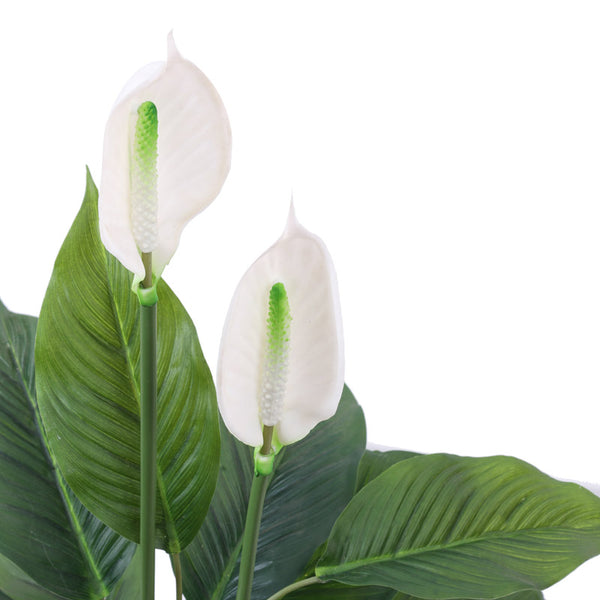 Artificial Peace Lily Plant in Black Pot (2.5 Feet)