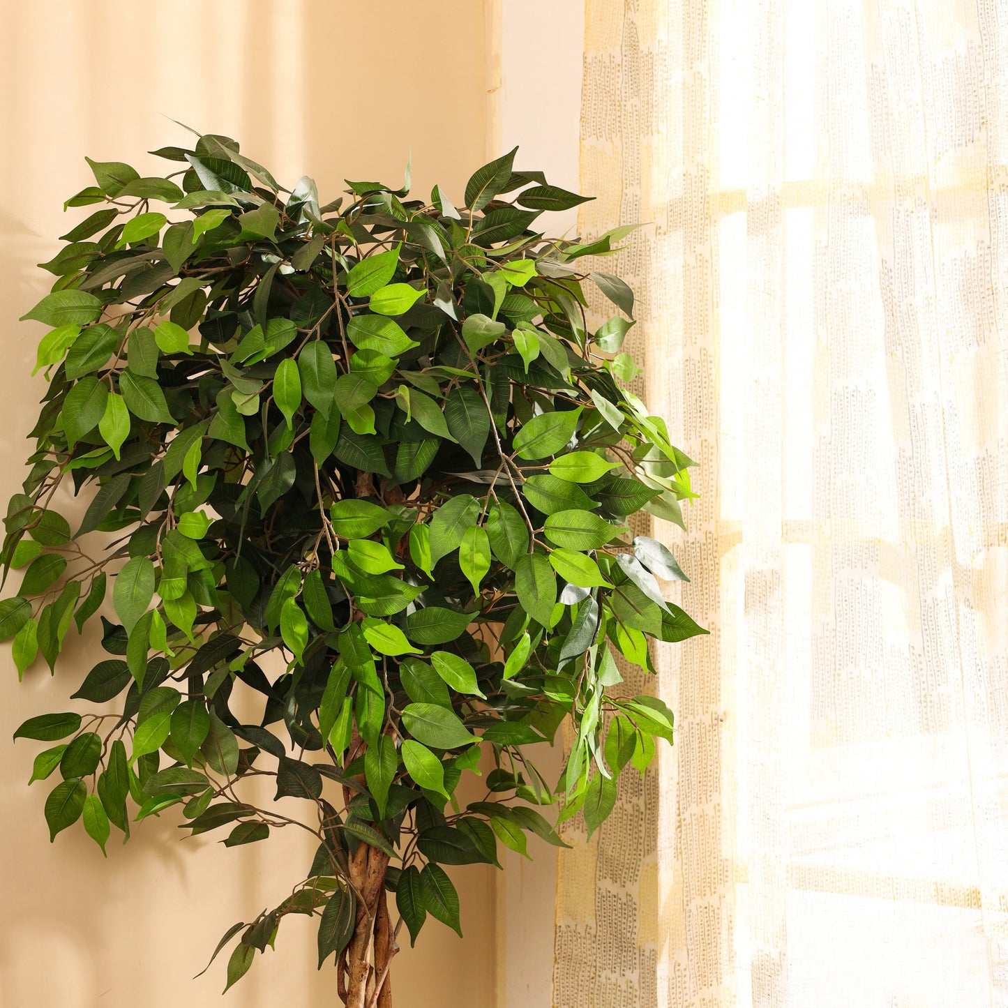 Artificial Ficus Plant in Black Pot (6 Feet)