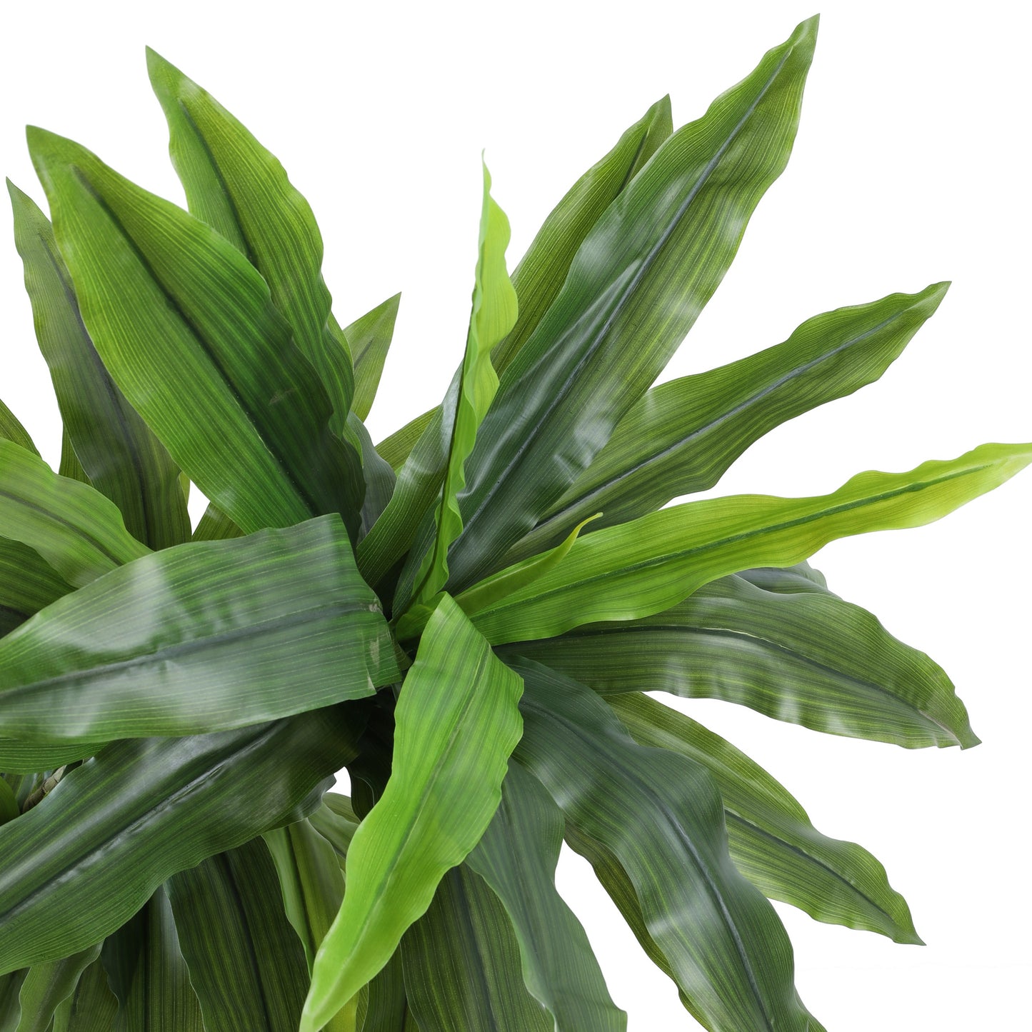 Artificial Dracaena Plant in Black Pot (6 Feet)